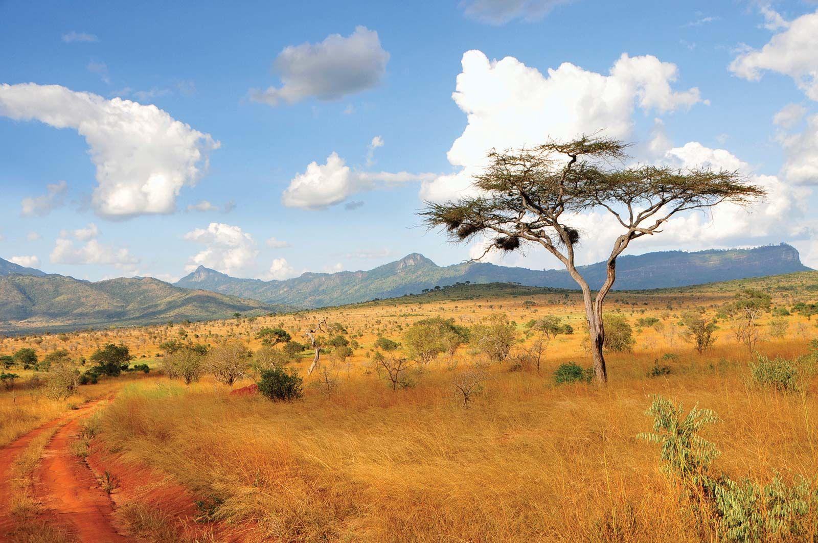 - ‌Unveiling ​Kenya's Natural Marvels: Explore ‌the Stunning ‌Landscapes and Wildlife ‍Reserves