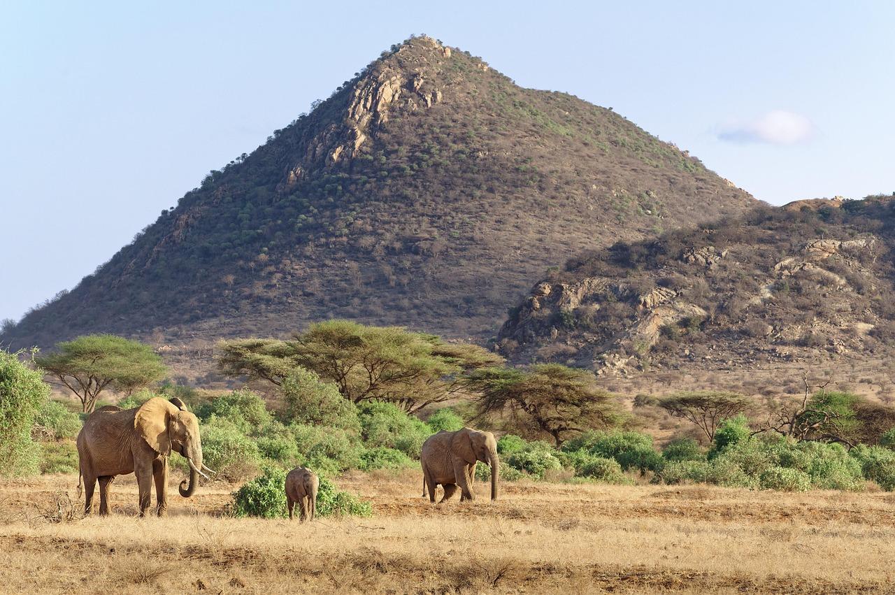 Exploring the Hidden Gem of Samburu National​ Reserve