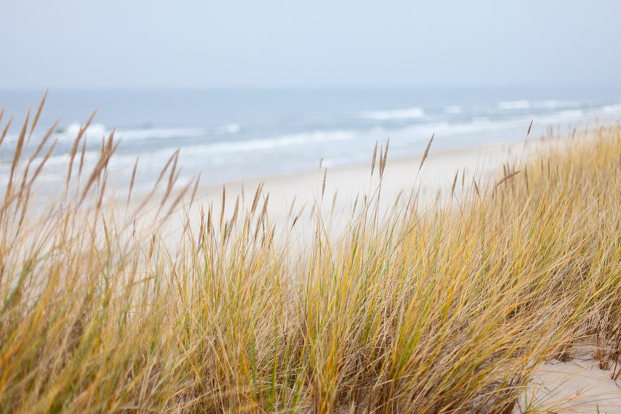 - ​Coastal Charms: Relax‌ on Pristine Beaches and Dive into the Wonders of the Indian‌ Ocean