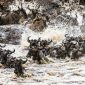 maasai mara rivers 85x85